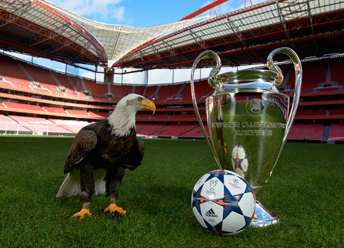 南京免费律师咨询